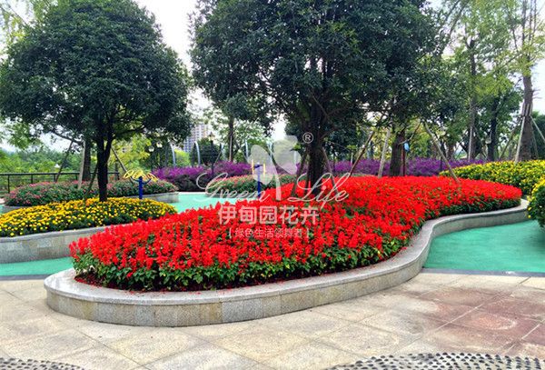 公園花草租擺養(yǎng)護(hù)