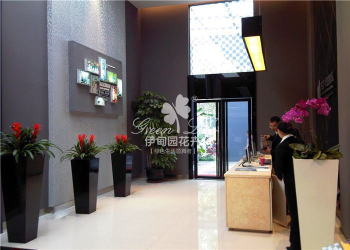 前臺(tái)花卉綠植租賃