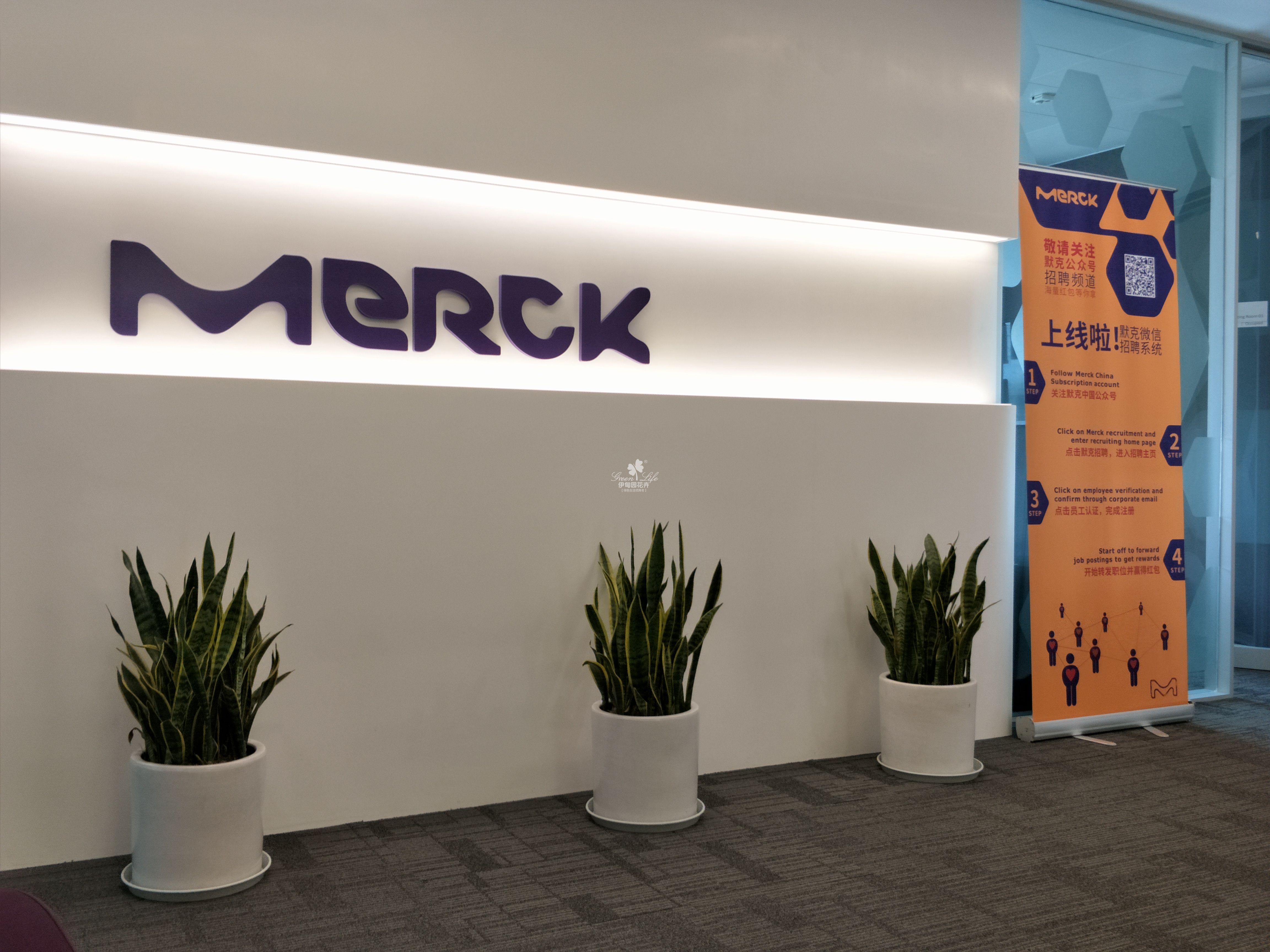 前臺(tái)綠植租賃