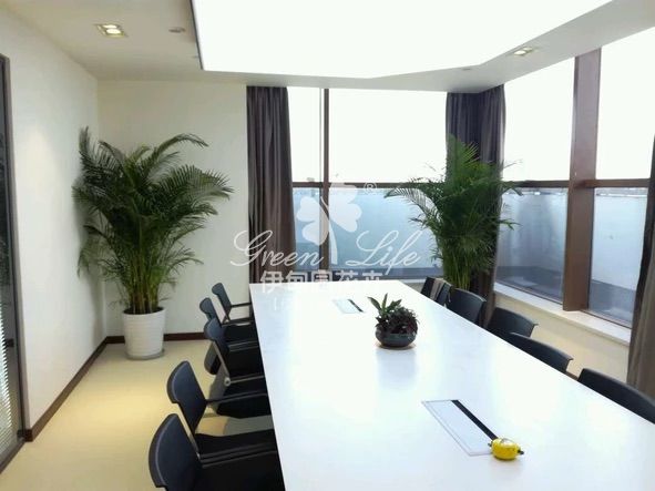 會(huì)議室植物租賃
