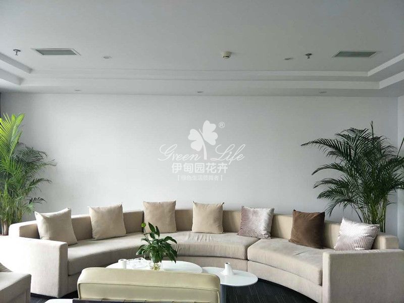 休閑區(qū)綠植物租賃