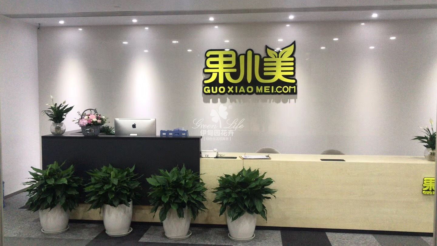 前臺(tái)綠植租賃