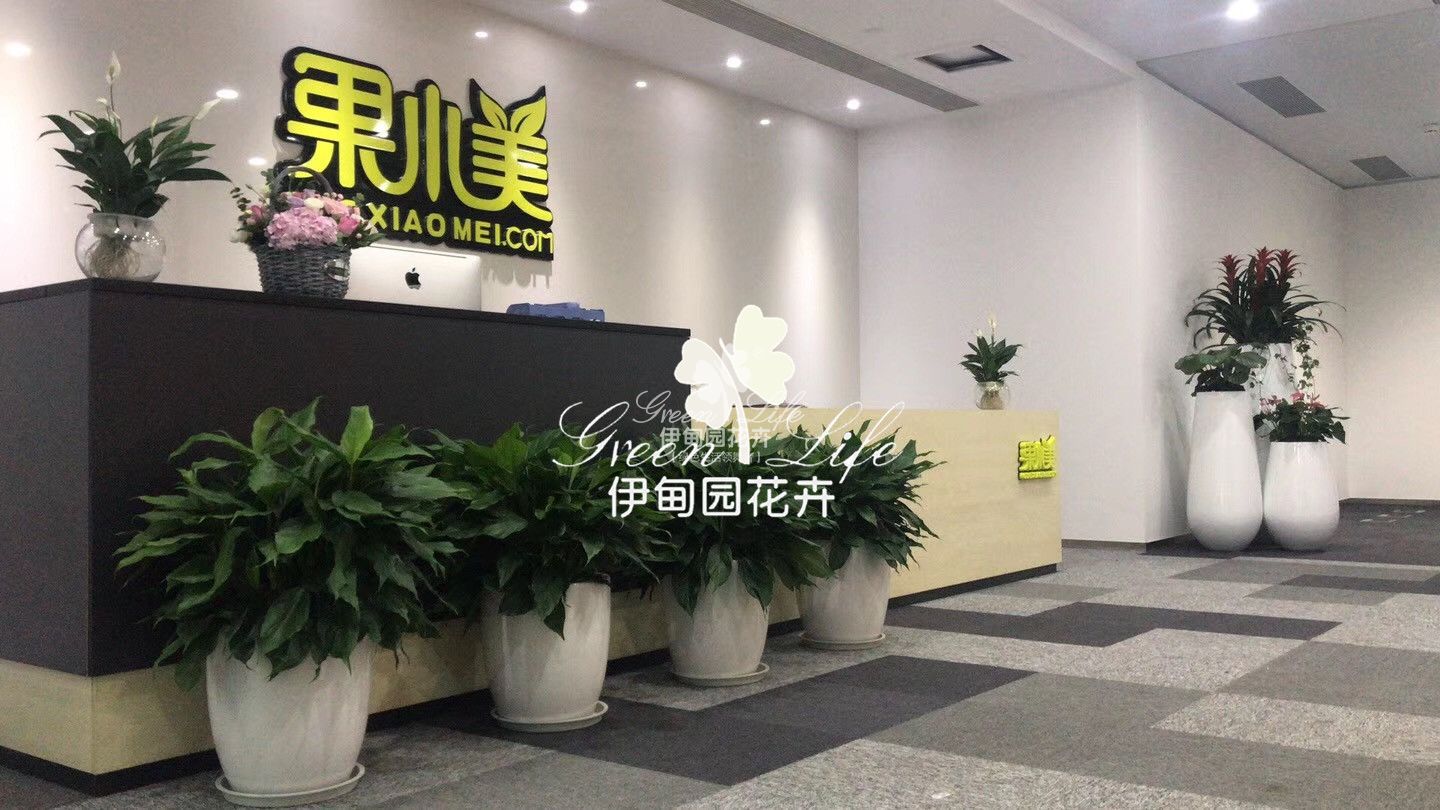 前臺(tái)花卉綠植租擺