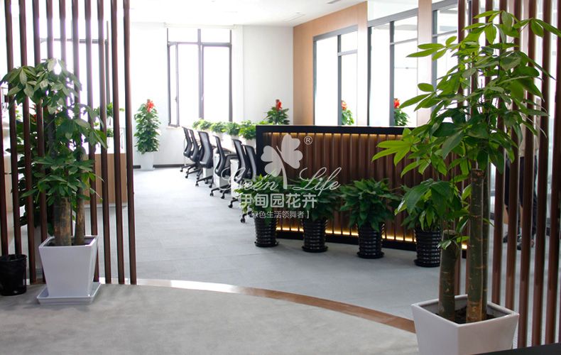 開放辦綠植租賃