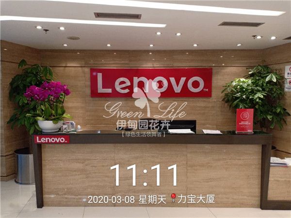 力寶大廈辦公室租植物