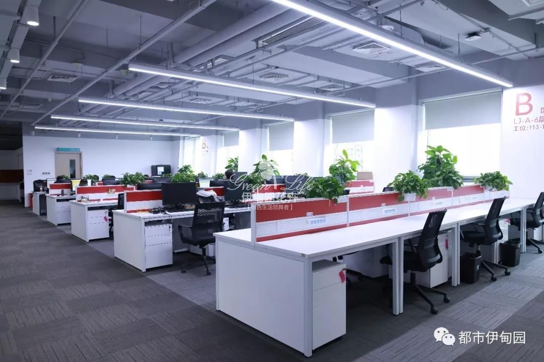 美團點評租植物案例