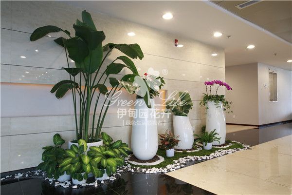 國電集團綠植租擺案例