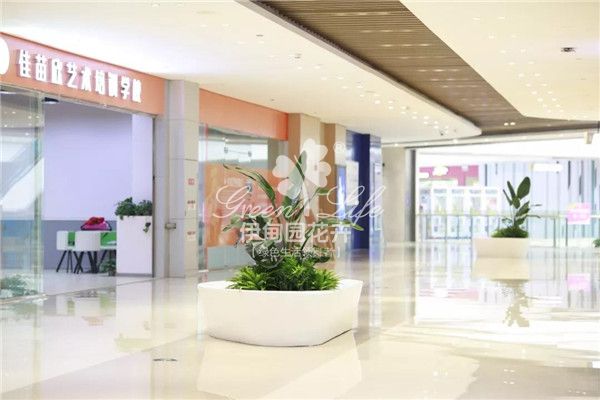 城南優品道廣場植物出租