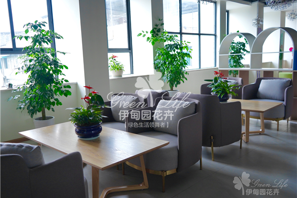 某社區(qū)綠植租賃案例