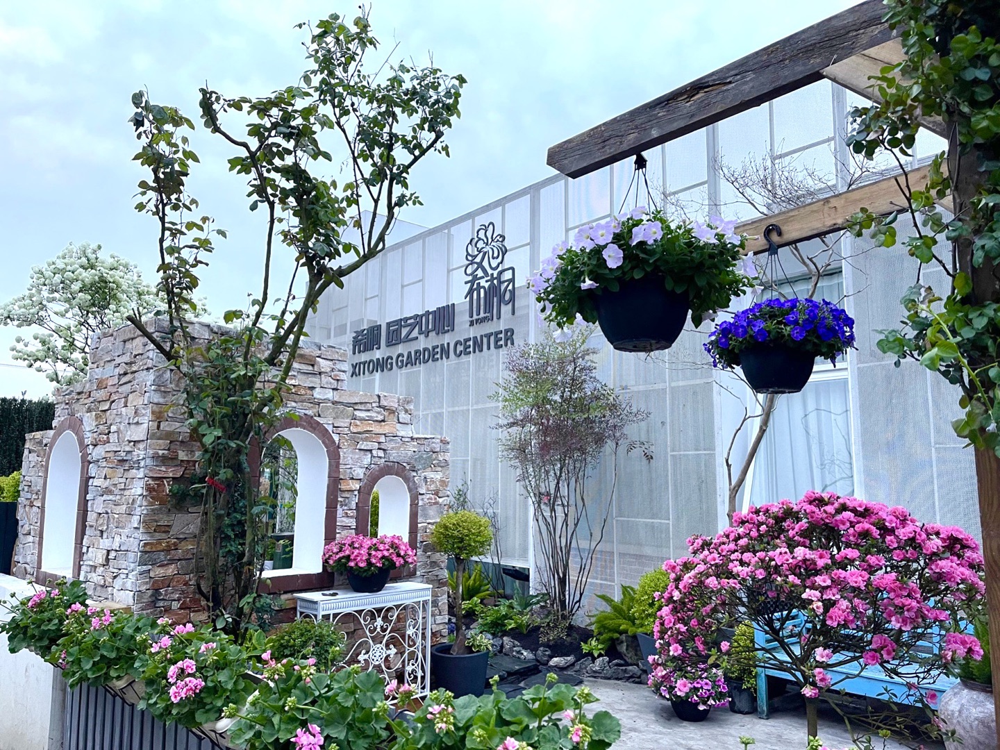 中國(guó)花卉協(xié)會(huì)家庭園藝分會(huì)正式成立！希桐園藝被授于分會(huì)理事單位！