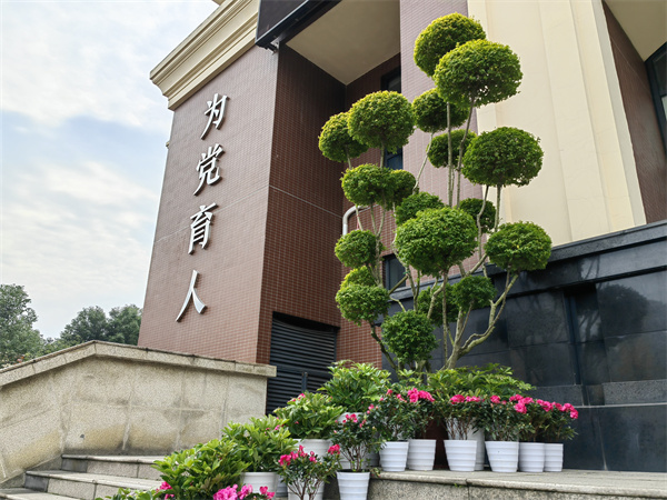 生機(jī)｜校園里的綠化更新